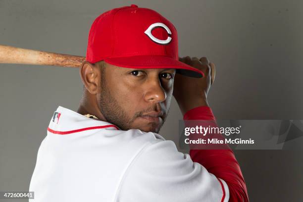 Reynaldo Navarro of the Cincinnati Reds poses during picture day on February 20, 2014 at Goodyear Park in Goodyear, Arizona.