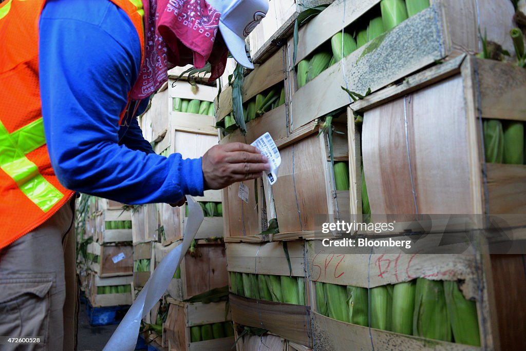 Operations Inside The Scotlynn Sweet Pac Growers Packing Facility