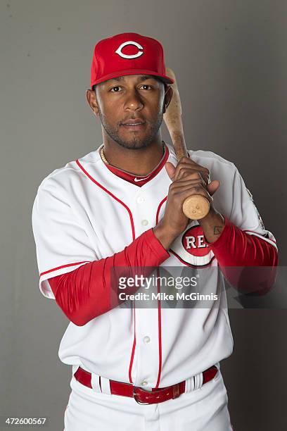 Reynaldo Navarro of the Cincinnati Reds poses during picture day on February 20, 2014 at Goodyear Park in Goodyear, Arizona.