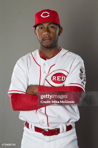 Reynaldo Navarro of the Cincinnati Reds poses during picture day on February 20, 2014 at Goodyear Park in Goodyear, Arizona.