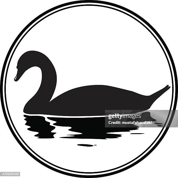 black swan icon - black swans stock illustrations