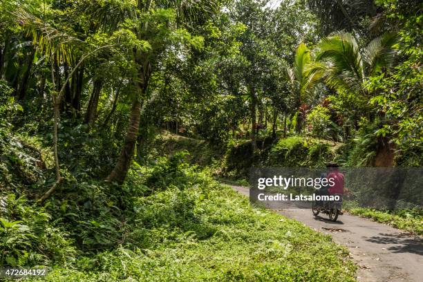 locals riding a moped near rice fields in bali - tampaksiring 個照片及圖片檔