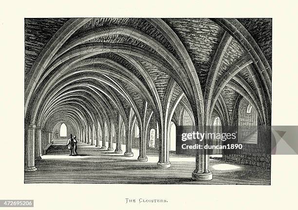 fountains abbey - the cloisters - cloister stock illustrations