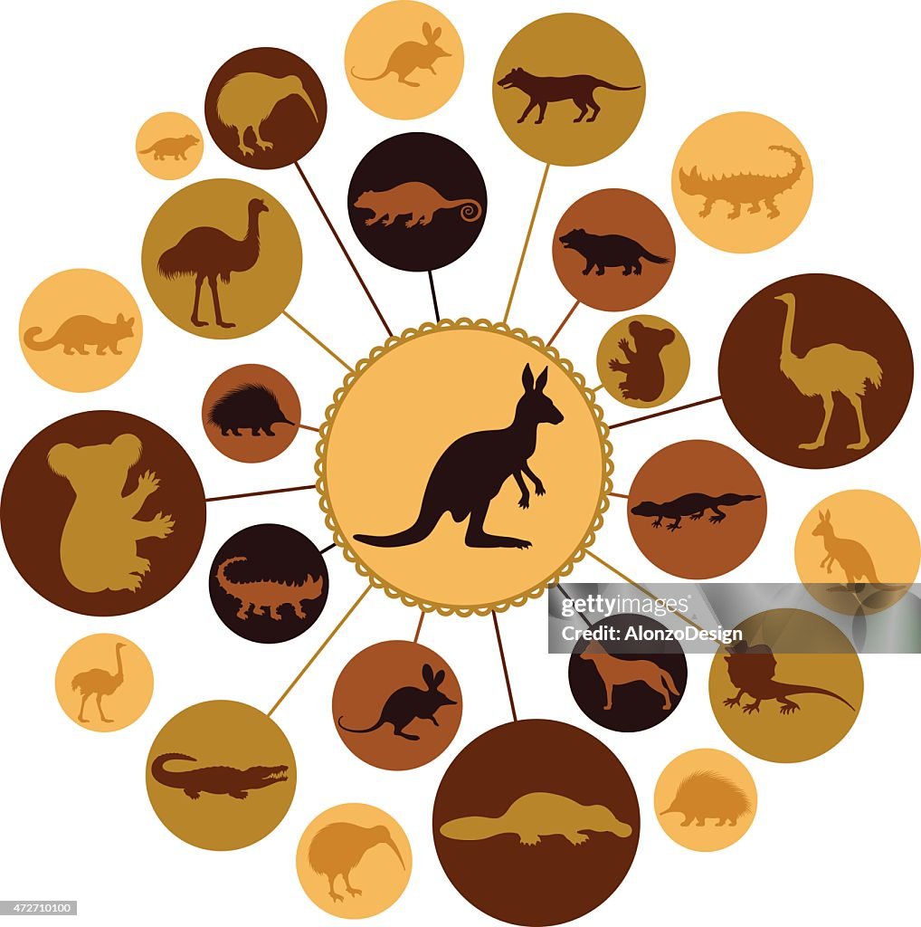Australian Animals Montage