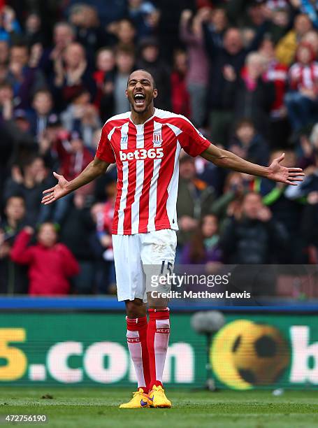 Steven N'Zonzi of Stoke City celebrates scoring his team's second goal during the Barclays Premier League match between Stoke City and Tottenham...