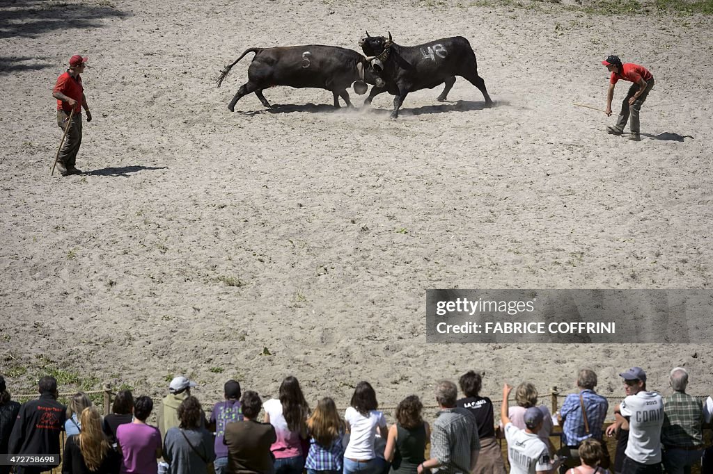 SWITZERLAND-ANIMAL-COW-FIGHTING