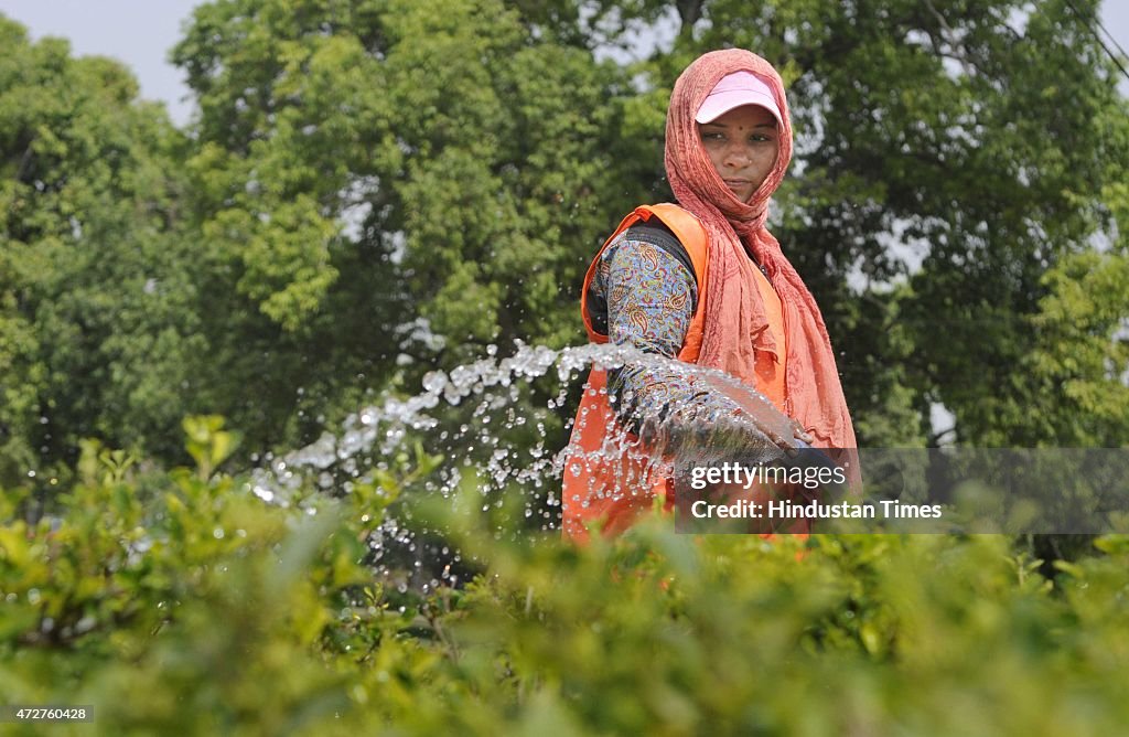 Hot Weather In Delhi/NCR