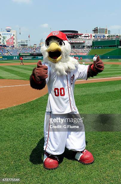 Washington mascot Screech performs before the game between the Washington Nationals and the Miami Marlins at Nationals Park on May 6, 2015 in...