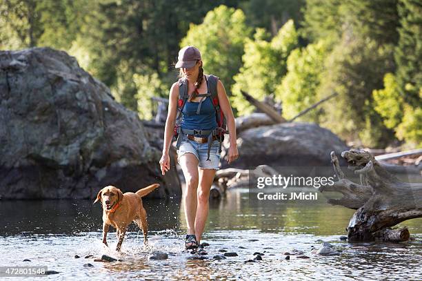 wanderer und hund-die flachen teil eines fluss. - active dog stock-fotos und bilder