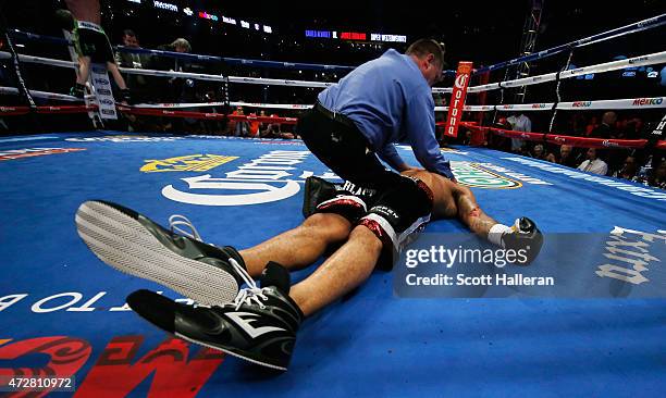 James Kirkland gets attention from the referree after being knocked down in the third round by Canelo Alvarez of Mexico during their super...