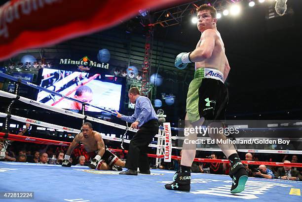 Saul "Canelo" Alvarez knocks down James Kirkland during their 12 round super welterweight fight at Minute Maid Park on May 9, 2015 in Houston, Texas.