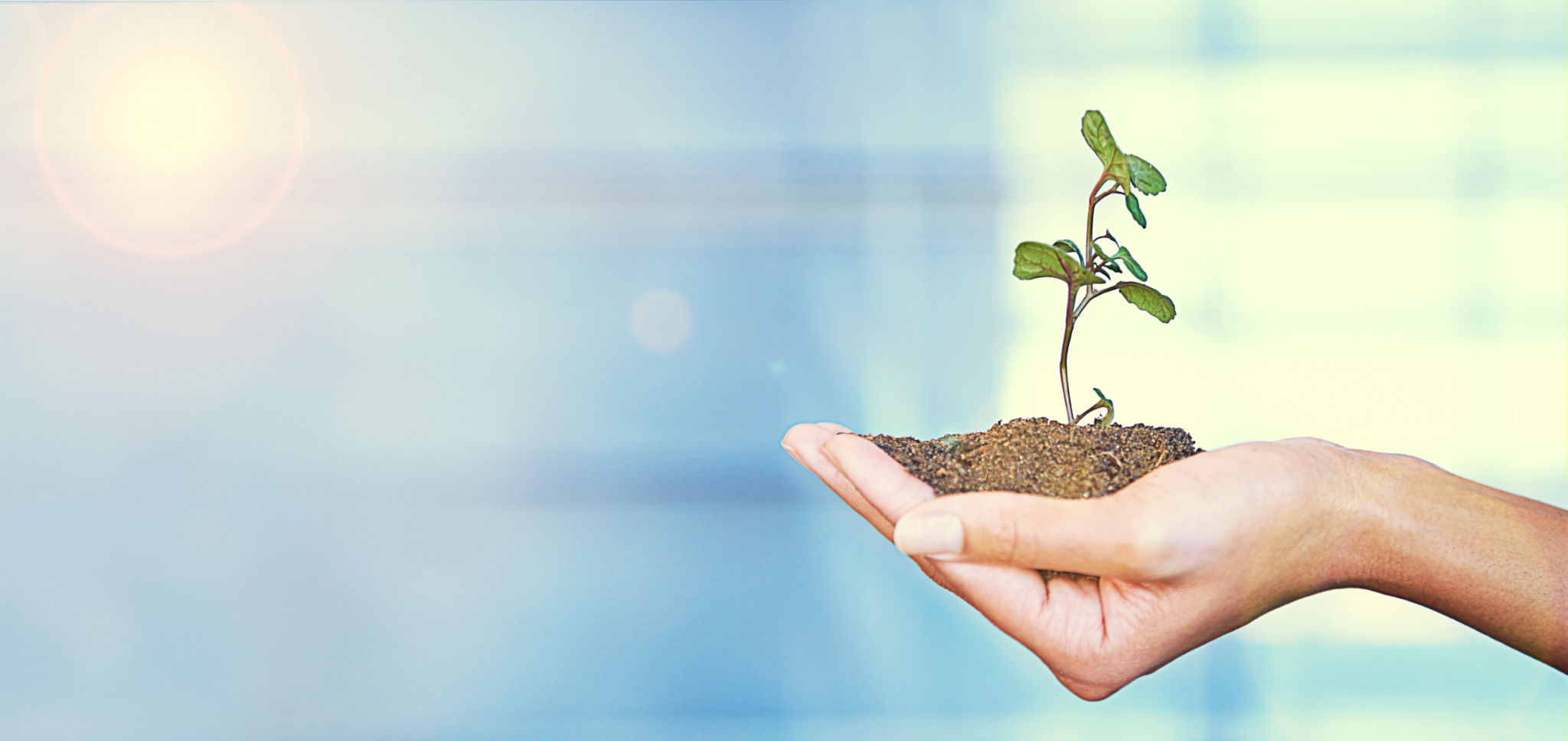 You've got to nurture your business in the early stages You've got to nurture your business in the early stages