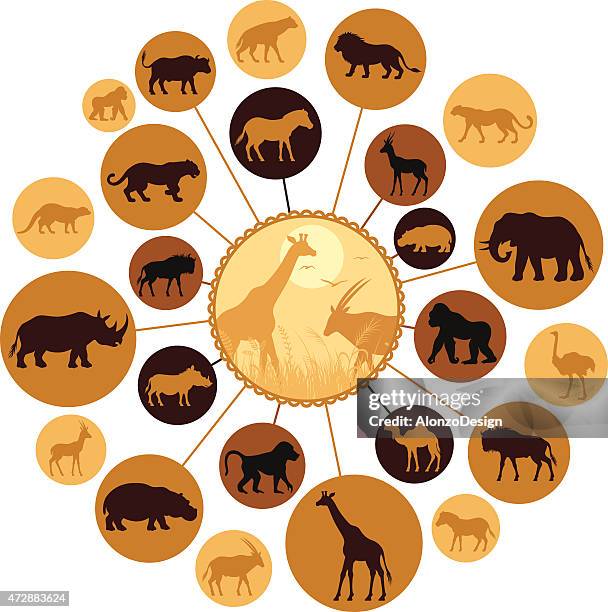 stockillustraties, clipart, cartoons en iconen met african animals montage - zebrahyena