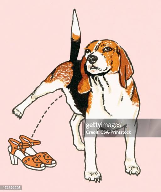 ilustraciones, imágenes clip art, dibujos animados e iconos de stock de mala perro - orina