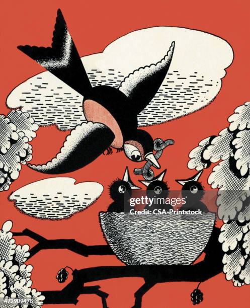 bird and chicks - bird worm stock illustrations
