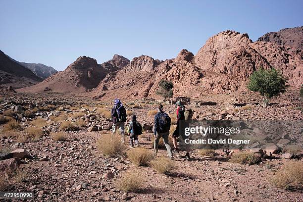 Bedouin guides lead tourists hiking through the mountains of South Sinai on April 18, 2015 near St. Catherine, Egypt. Bedouins guides in the Sinai...