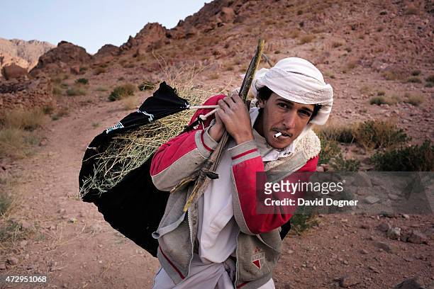 Ahmed Hossam is Bedouin guide who rents out his camel to carry supplies and tourists through the mountains of South Sinai on April 17, 2015 near St....