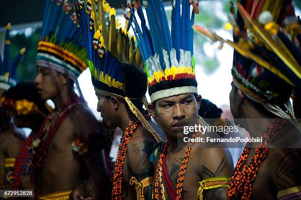 paresís - brazilian headdress stock pictures, royalty-free photos & images