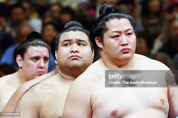 49 Sumo Wrestler Hair Photos and Premium High Res Pictures - Getty Images