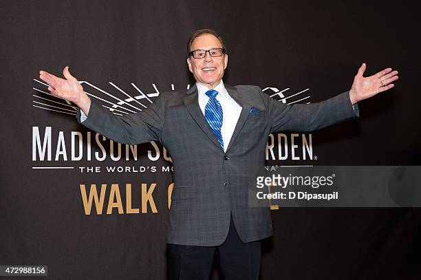 George Kalinsky attends the Madison Square Garden 2015 Walk Of Fame Inductions at Madison Square Garden on May 11, 2015 in New York City.