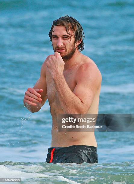 Jobe Watson, captain of the Bombers wades in the water during an Essendon Bombers AFL recovery session at St Kilda Sea Baths on May 12, 2015 in...