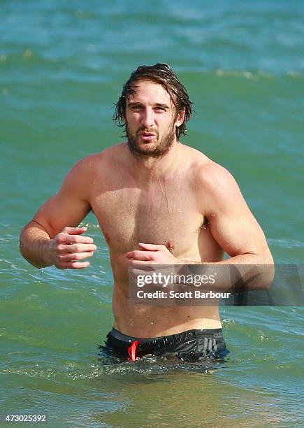 Jobe Watson, captain of the Bombers wades in the water during an Essendon Bombers AFL recovery session at St Kilda Sea Baths on May 12, 2015 in...