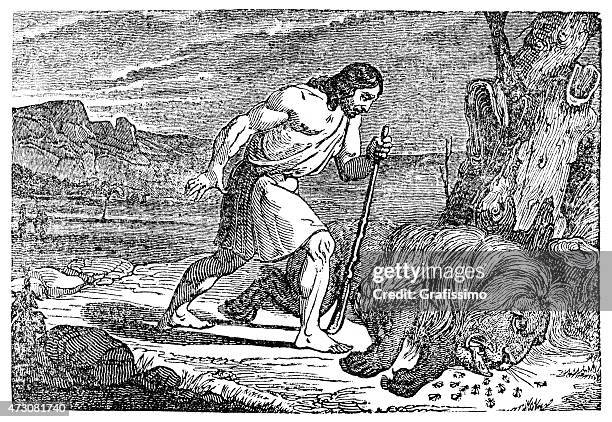 ilustraciones, imágenes clip art, dibujos animados e iconos de stock de samson slays un león - lion-fight-drawing