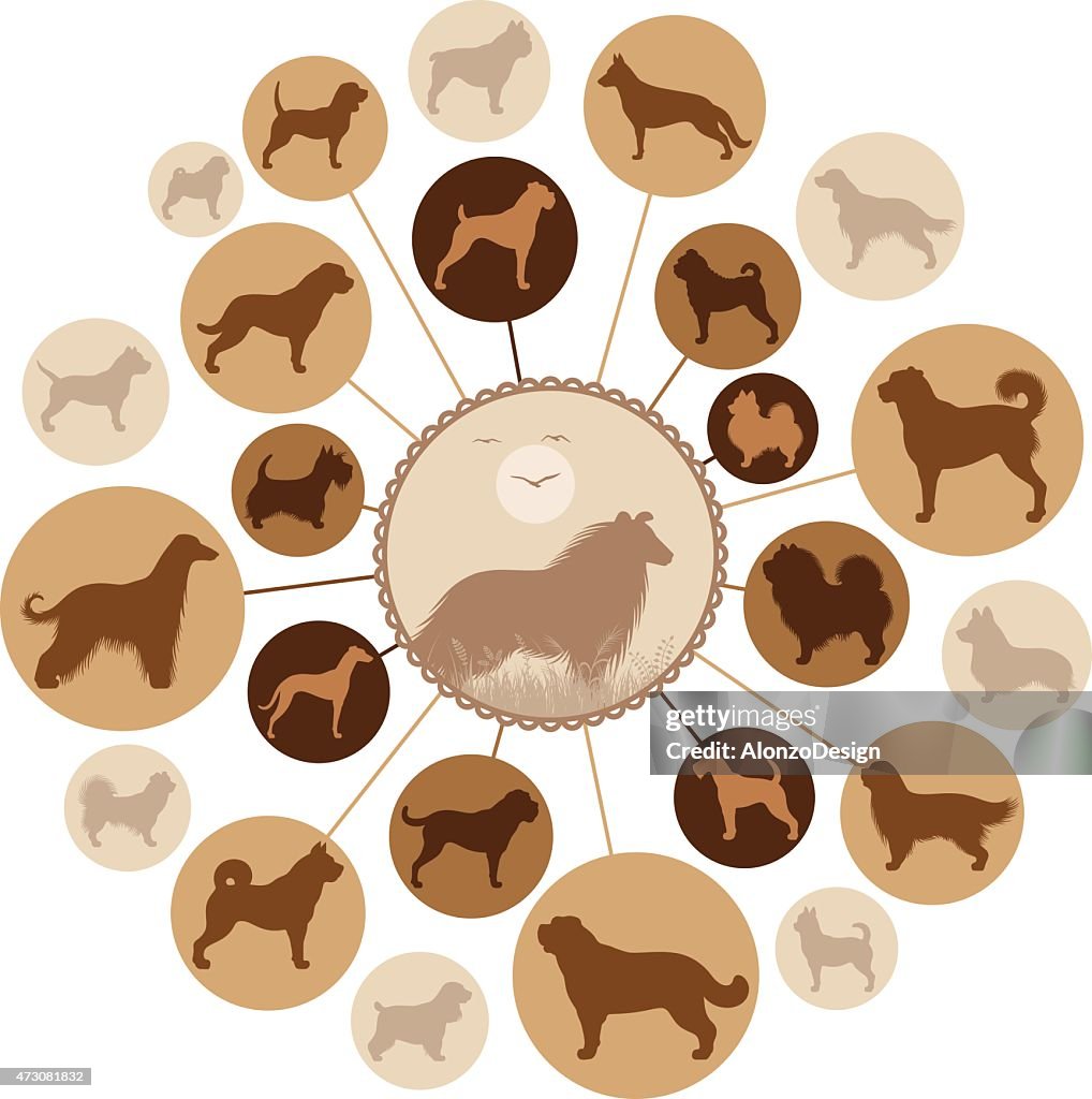 Dog Breeds Montage