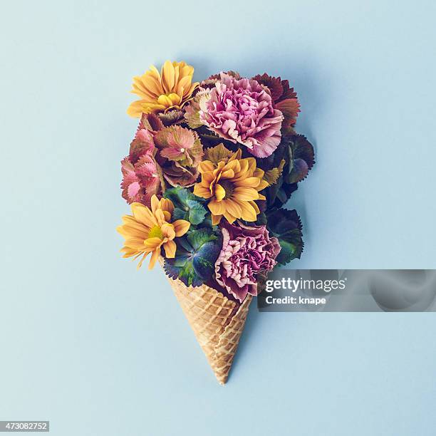 fresh flowers in ice cream cone still life - flower bouquet stockfoto's en -beelden