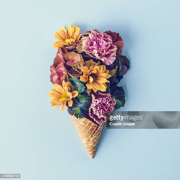 fresh flowers in ice cream cone still life - composition stock pictures, royalty-free photos & images
