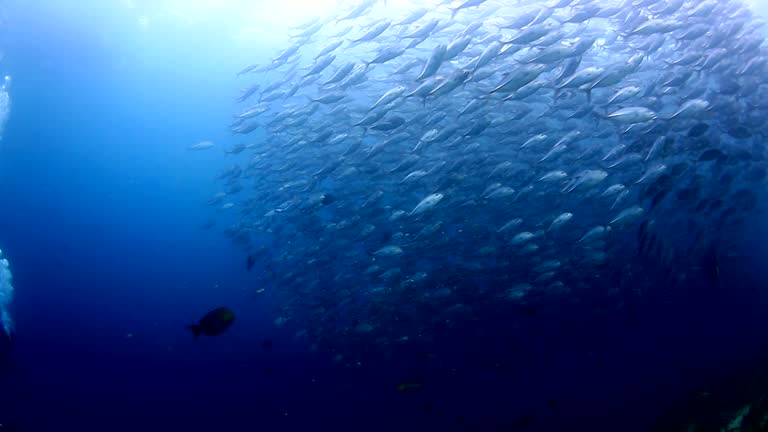 imagen en miniatura de vídeo