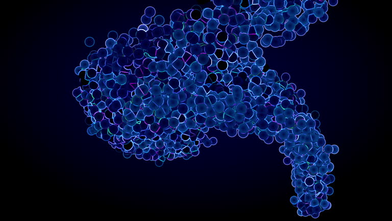 Cell Multiplying Process Gif Mitosis Cancer Videos and HD Footage - Getty Images