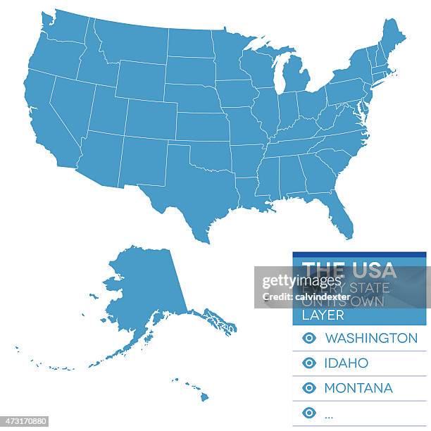 stockillustraties, clipart, cartoons en iconen met map of the united states of america in blue over white - two paths: america divided or united