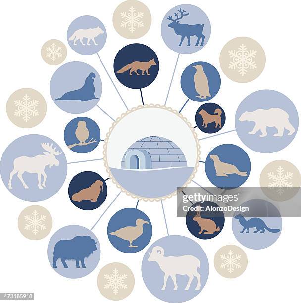 arctic animals montage - moose-silhouette stock illustrations