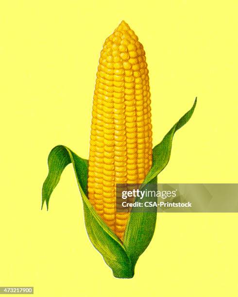 69点のpop Cornイラスト素材 Getty Images 69点のpop Cornイラスト素材 Getty Images