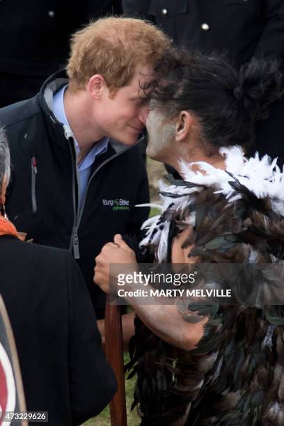 Britain's Prince Harry receives a Hongi from a Maori Warrior during a visit to the Putiki Marae in Whanganui on May 14, 2015. Prince Harry arrived in...