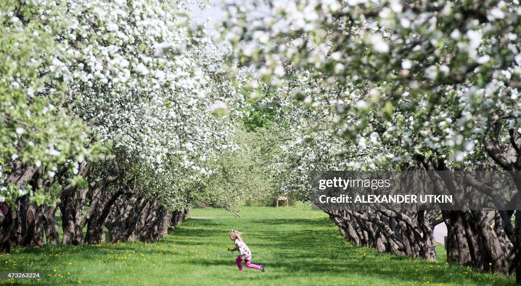 TOPSHOT-RUSSIA-WEATHER-SPRING-FEATURE