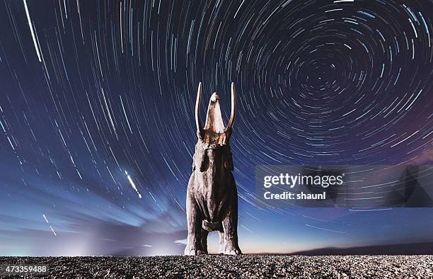 mastodon in the stars - woolly mammoth stock pictures, royalty-free photos & images