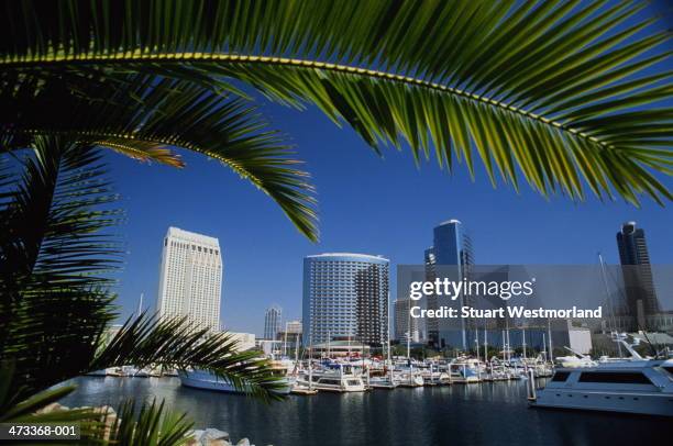 usa, california, san diego, port of san diego, ermbarcadera marina par - san diego stock-fotos und bilder
