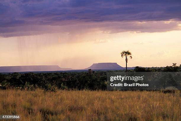 Savannah vegetation and rain near Serra do Espírito Santo at Jalapão State Park in Tocantins State, Brazil.