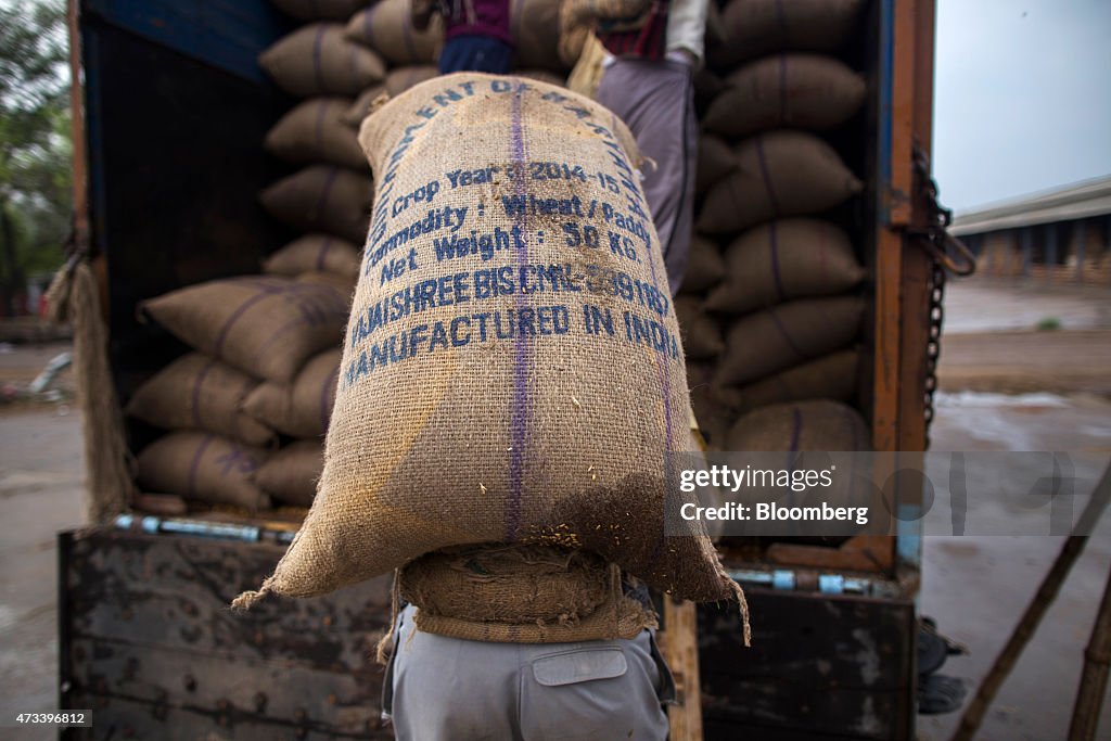 Wheat Production To Tumble As Unseasonal Rain And Hail Damage Crop