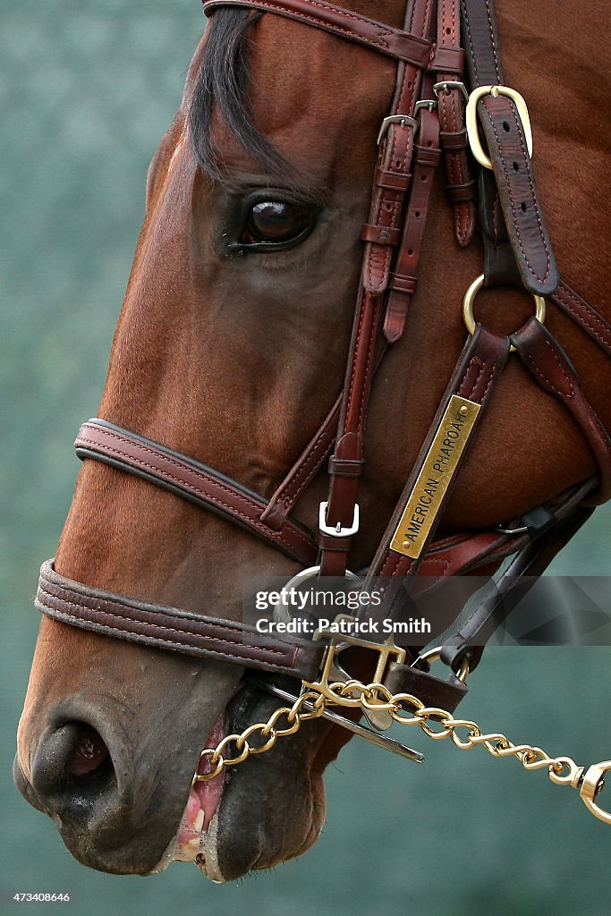 140th Preakness Stakes - Previews