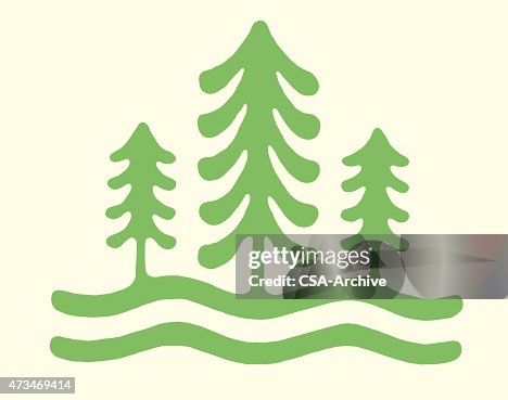 Pine Trees Pine Trees