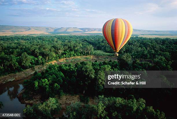 kenya,masai mara,hot air balloon over plains - heissluftballon stock-fotos und bilder