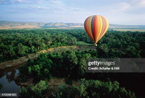 kenya,masai mara,hot air balloon over plains - mongolfiera foto e immagini stock