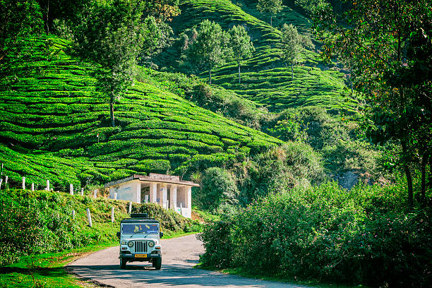 Munnar Nature Group Tour