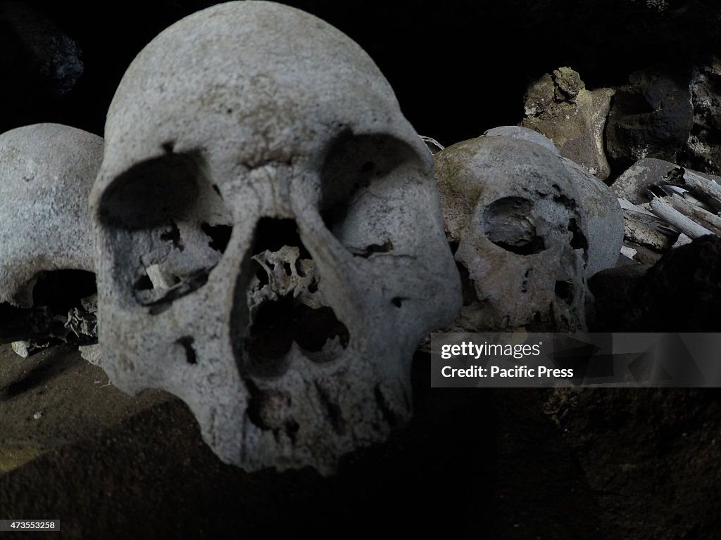 Collection of human skulls with bones, of unknown origin,...