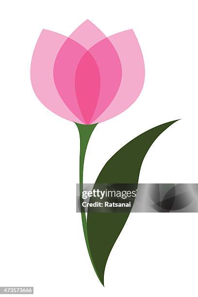 tulip single flower vector - tulip stock illustrations