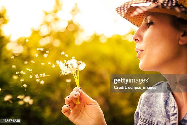 femme avec fleur de pissenlit - souffle photos et images de collection