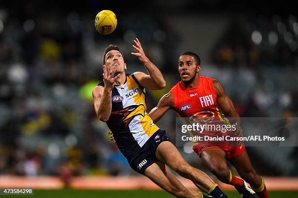 Beau Butler Rugby 188 Butler Western Australia Stock Photos, High-Res Pictures, and ...